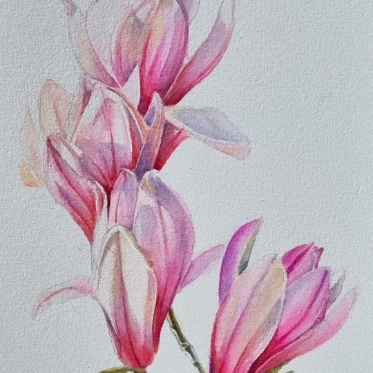 Picturesque Flowers - Watercolor & Color Pencil Series 4 Sessions ...